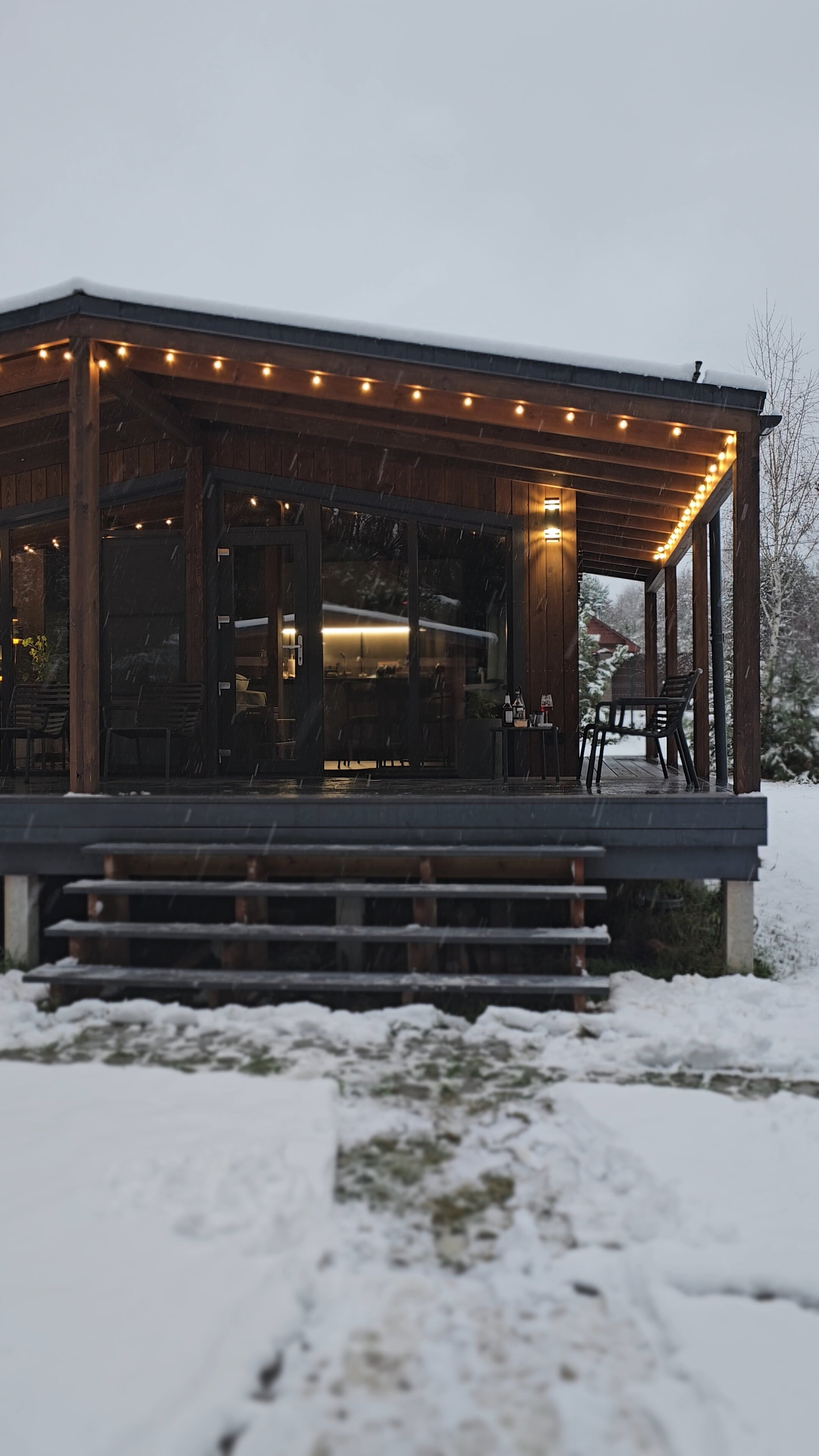 Фото Листья