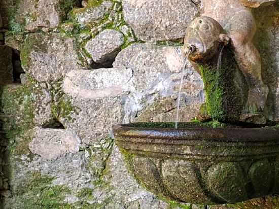 Фото Hotel Moon & Sun Braga