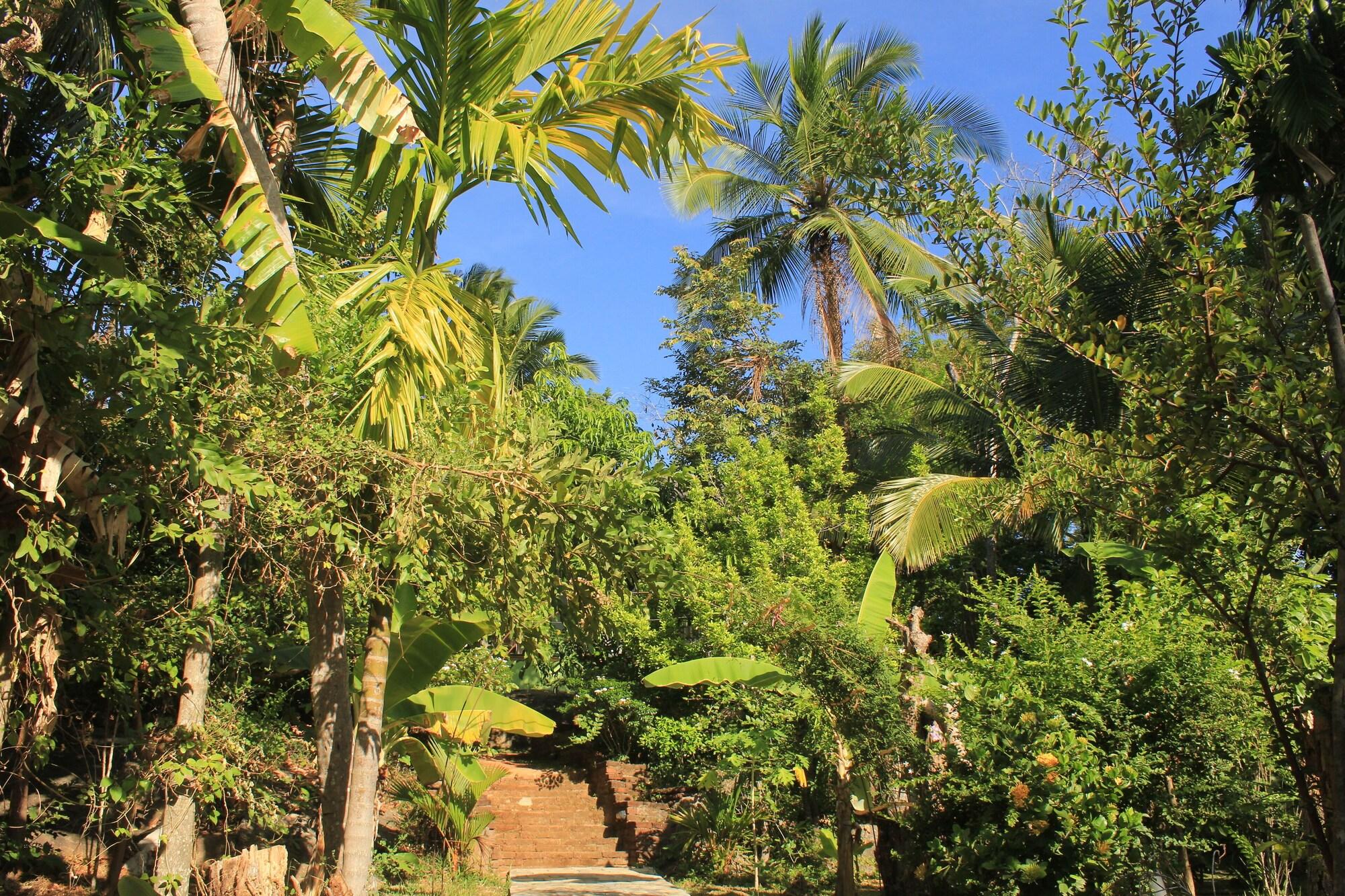 Фото Serenity Sigiri Resort