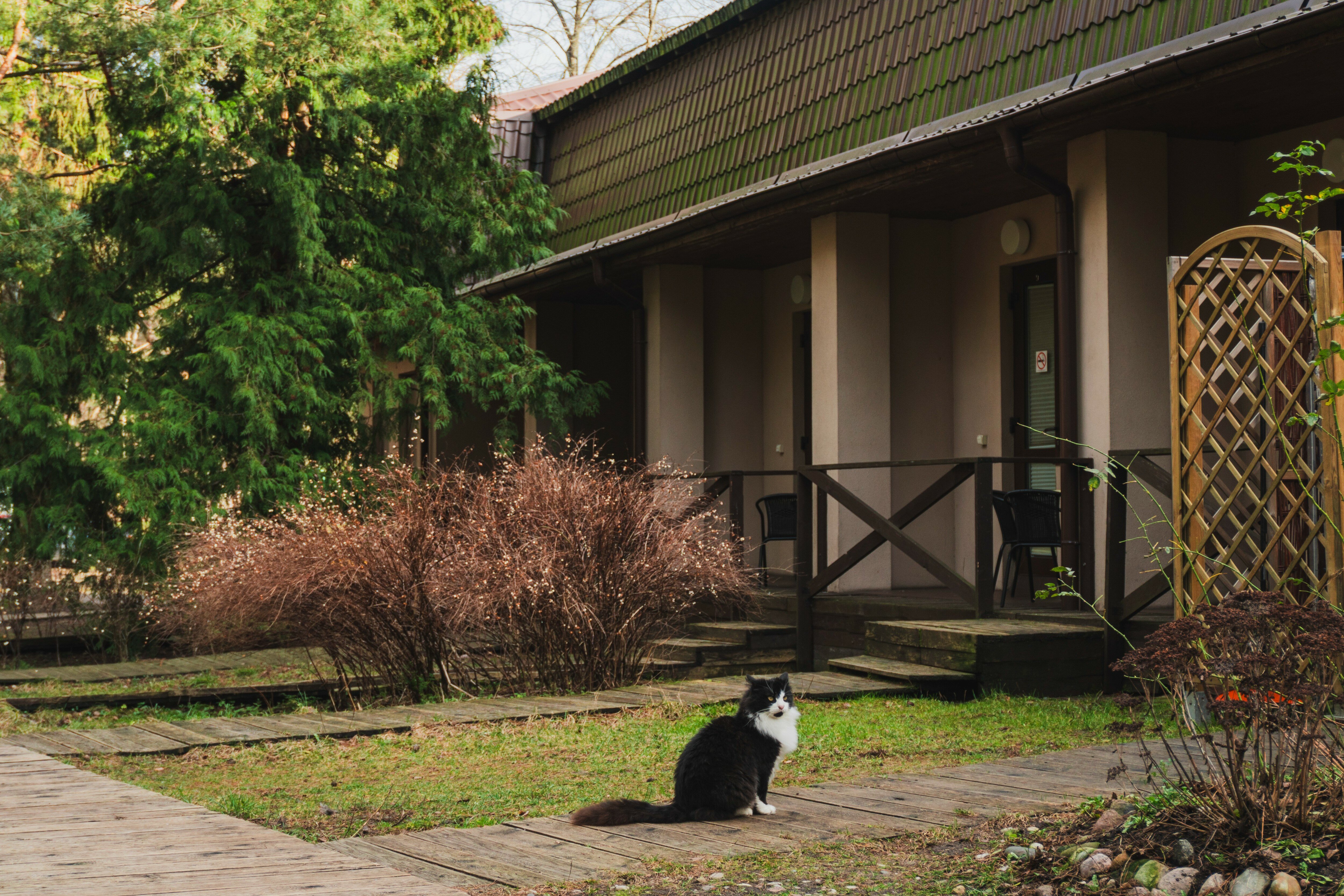 Фото Дом рыболова