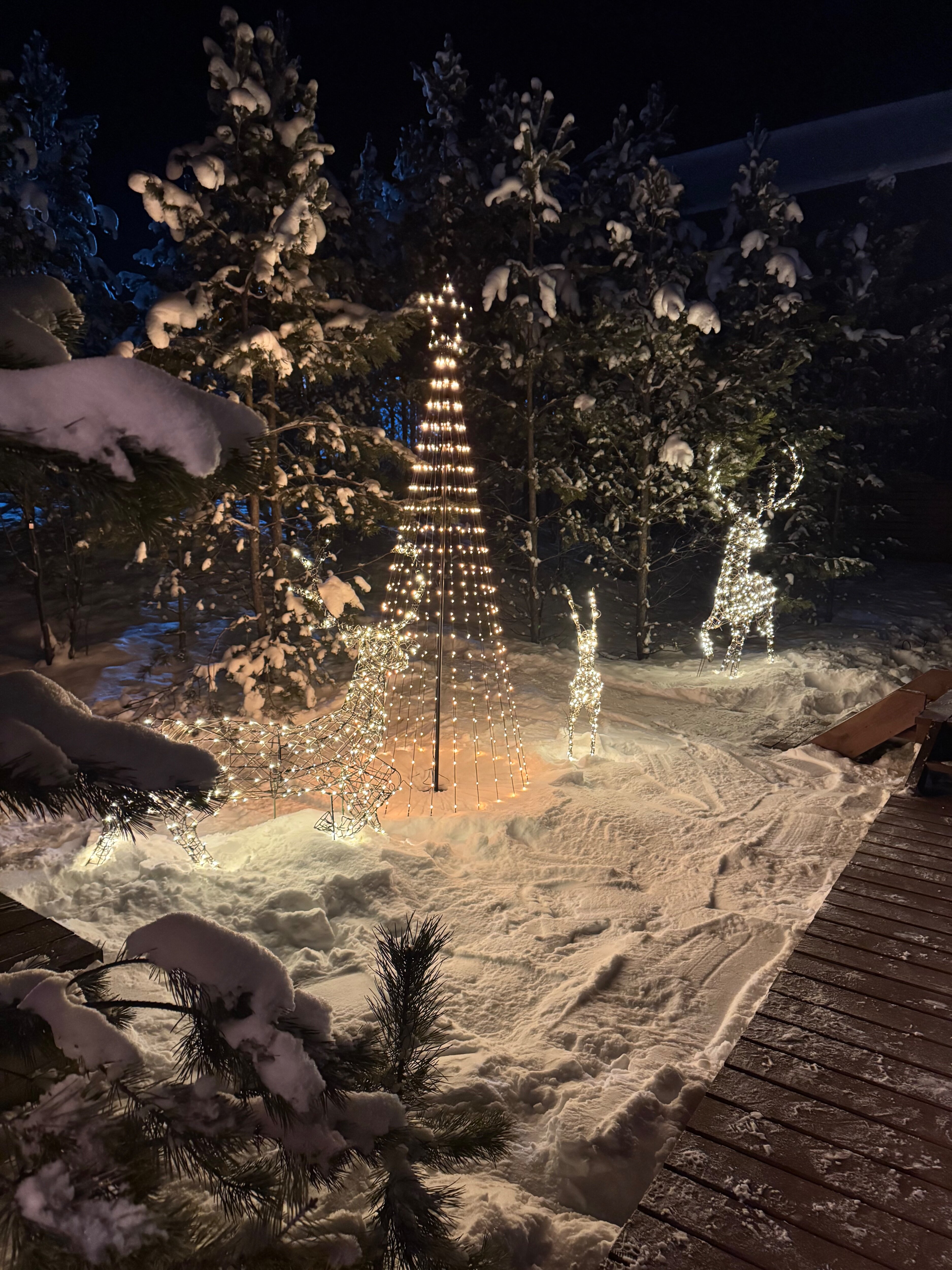 Фото Дружба Глэмп