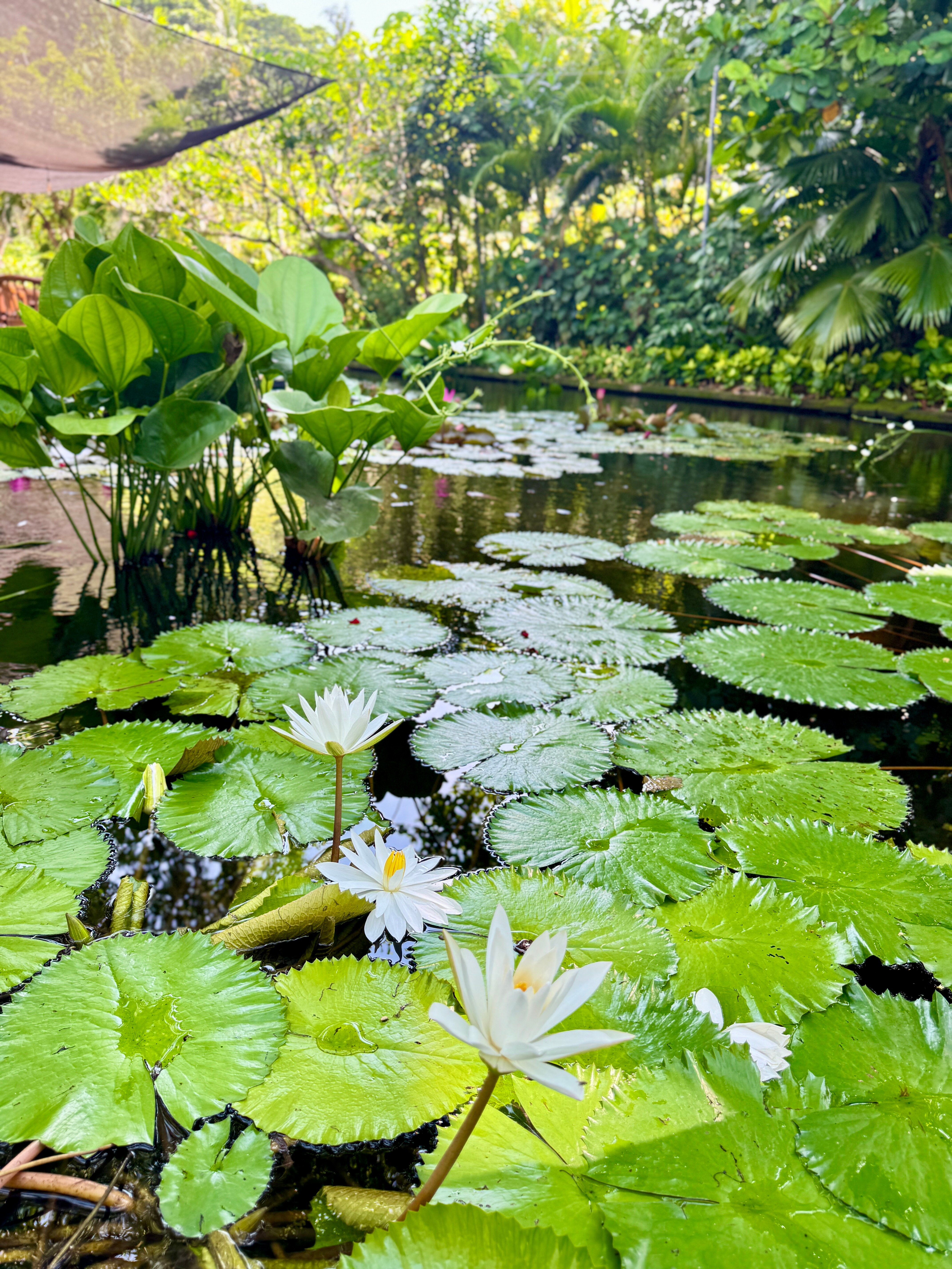 Фото Hyatt Regency Bali