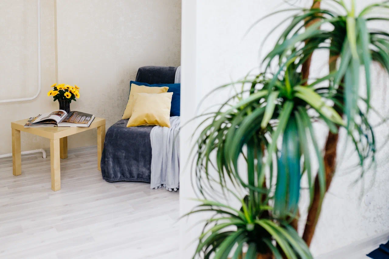 Фото Альфа Хоум плюс