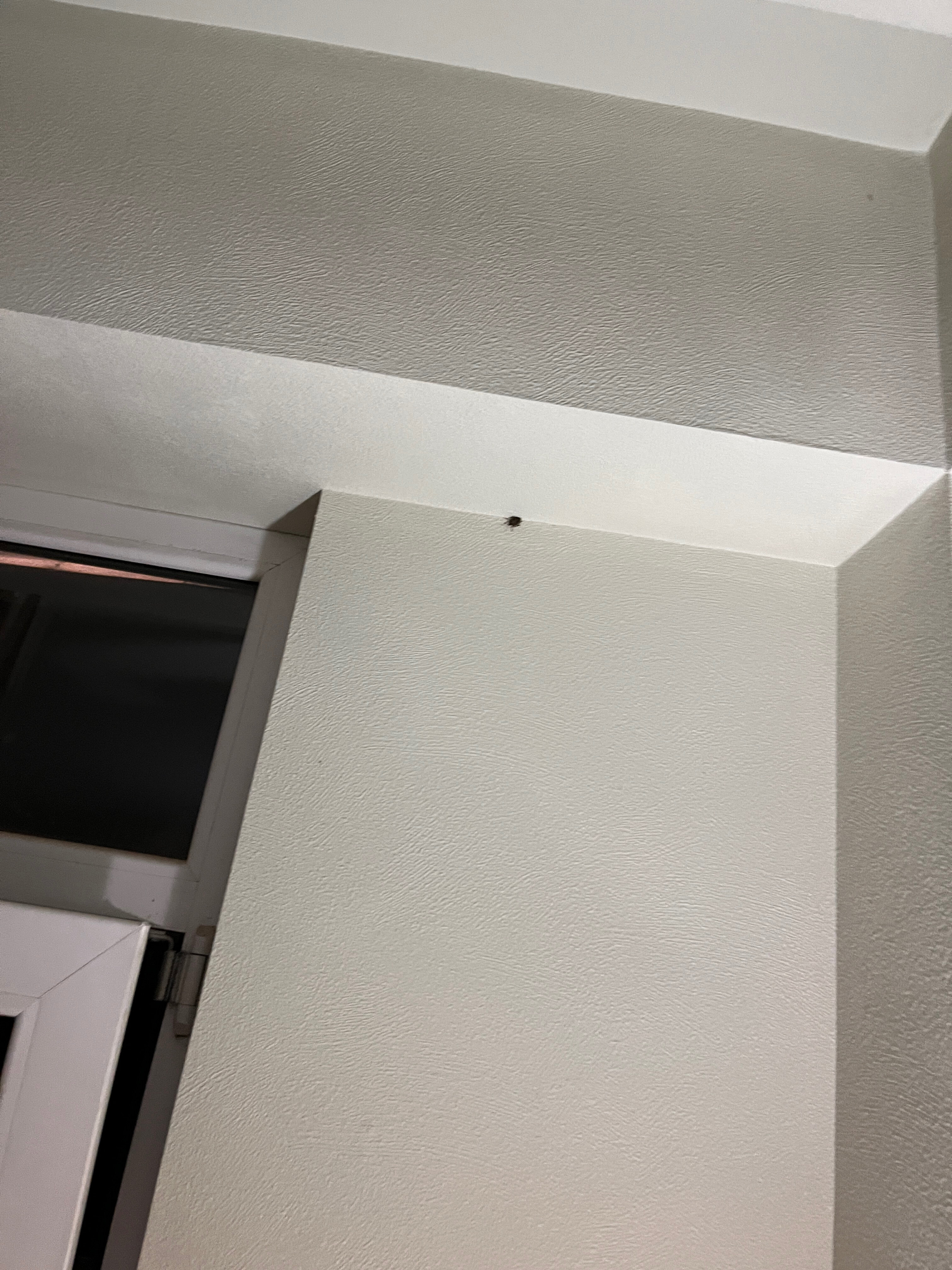 Фото ЭкоДом Адлер