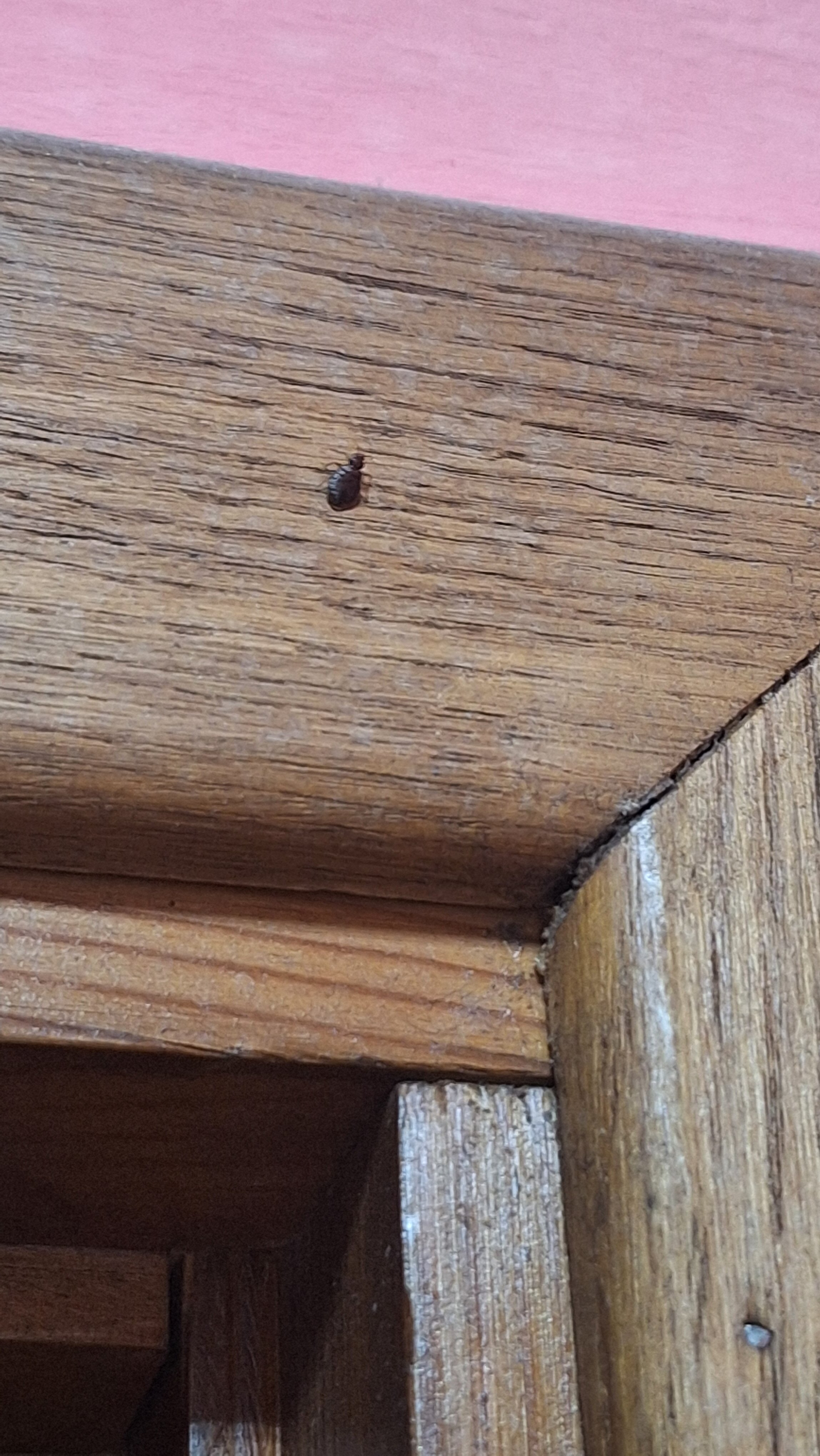 Фото Плацкарт