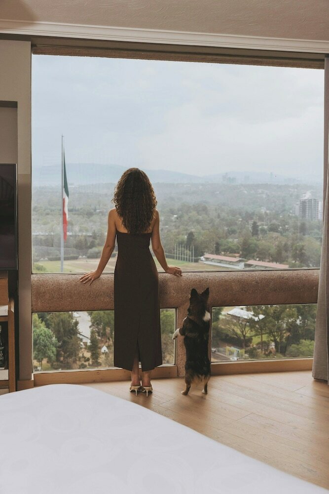 Фото JW Marriott Hotel Mexico Ci