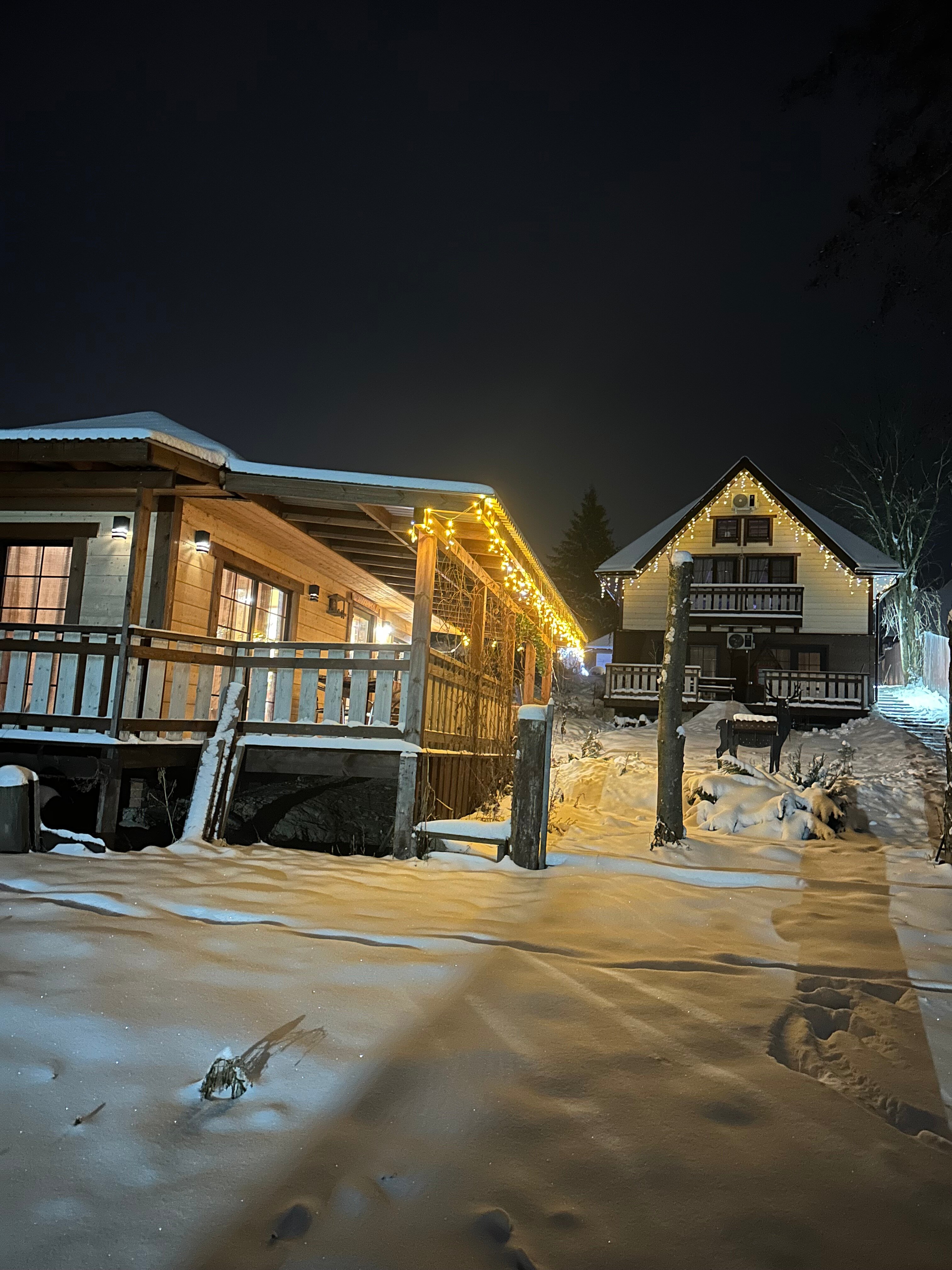 Фото Лесной бункер