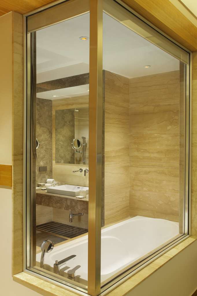 Фото Radisson Blu Jammu