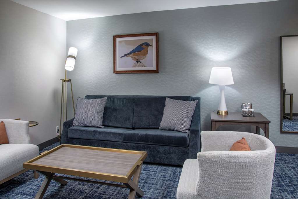 Фото DoubleTree by Hilton Hot Springs