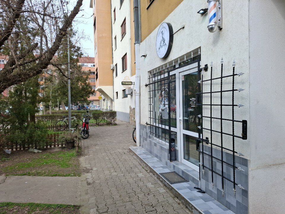 Berbernica