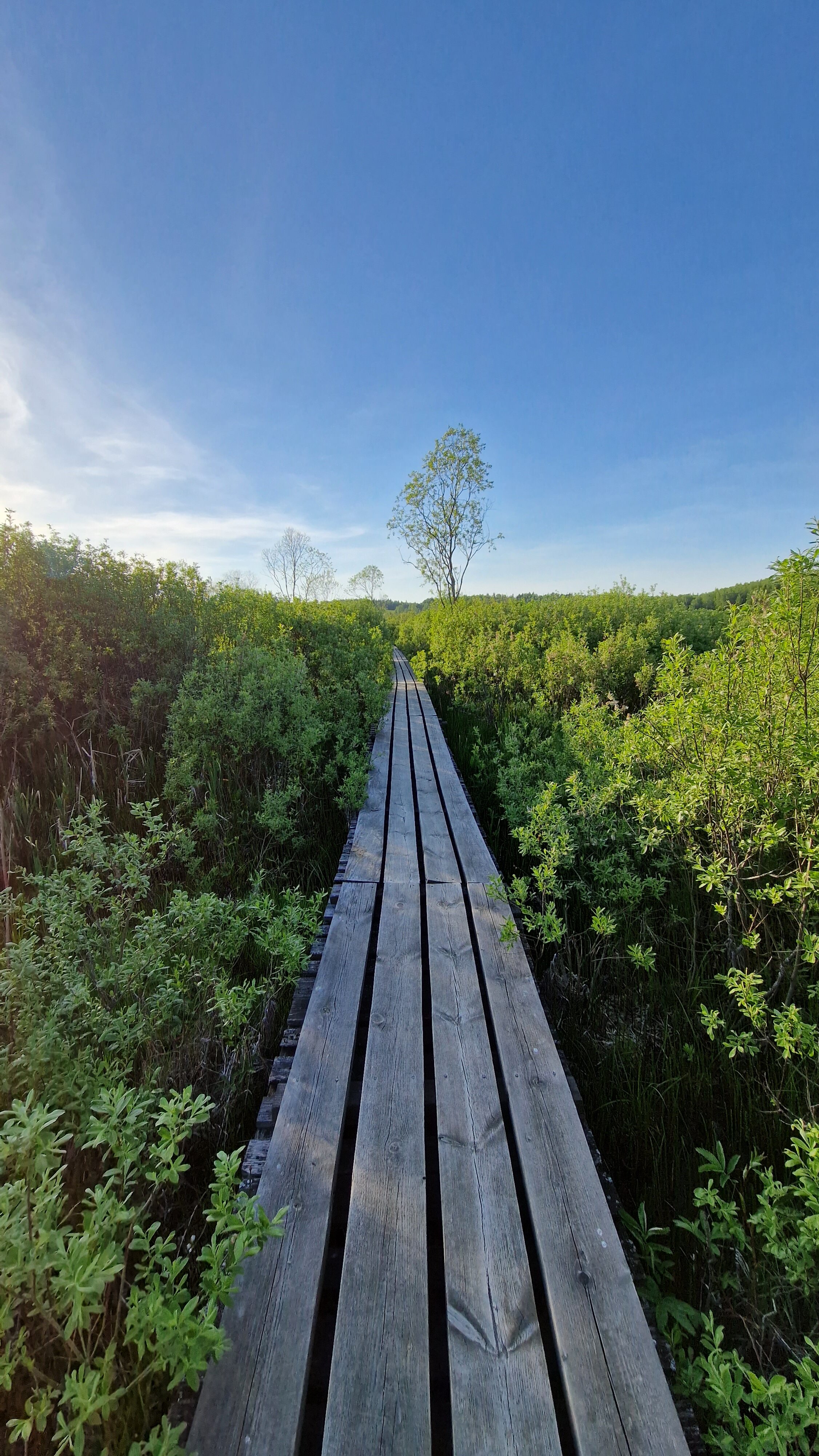 Фото Дом Шале