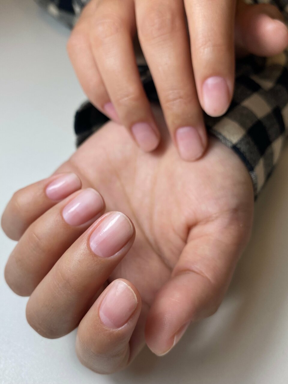 Foto: Beauty Zona, beauty salon, Yoshkar-Ola, Lva Tolstogo Street, 66 - Yandex M