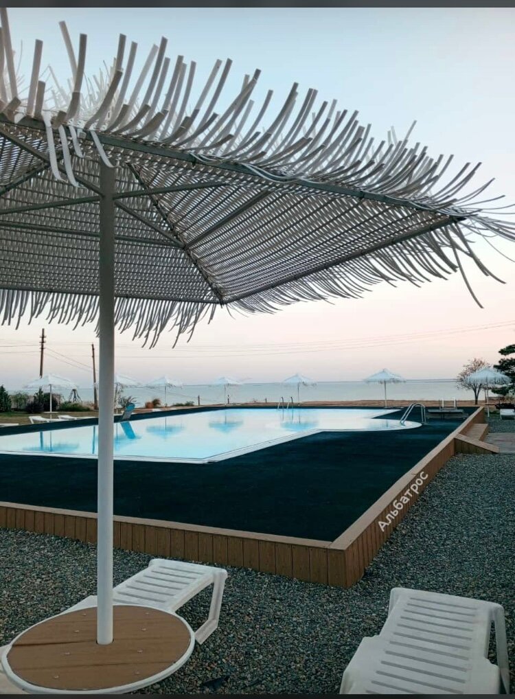 Фото Альбатрос