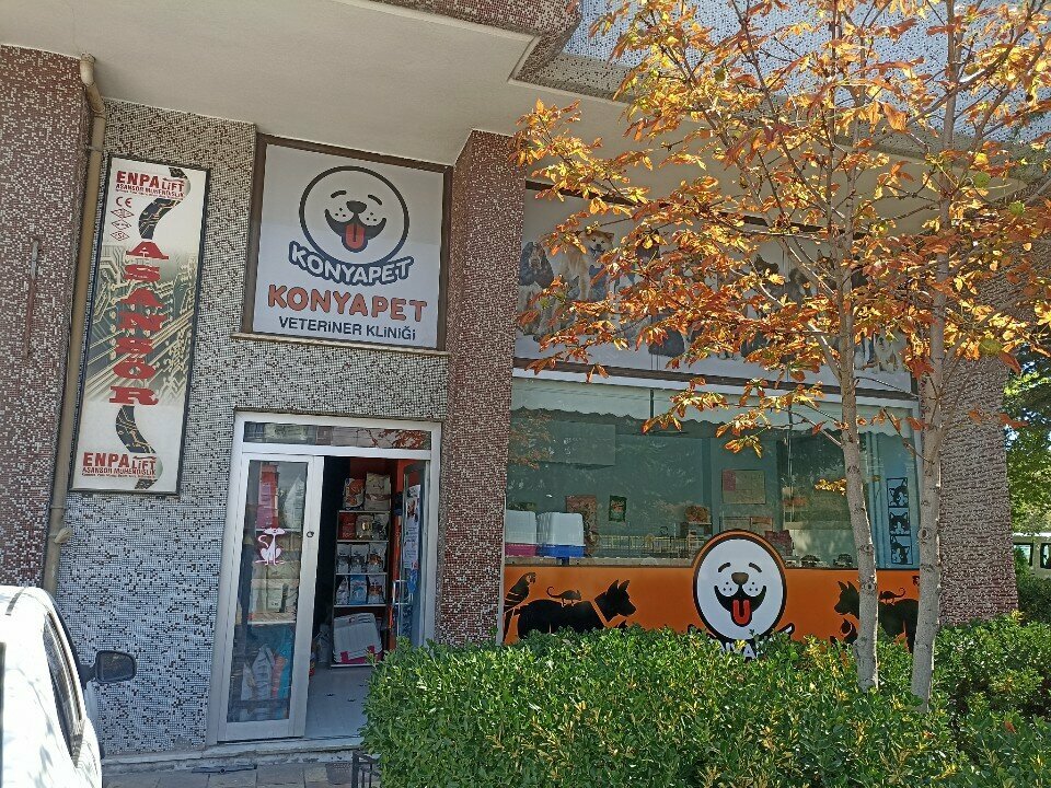 Veterinary clinic Kuş Ve Egzotik Veteriner Kliniği, Konya, photo