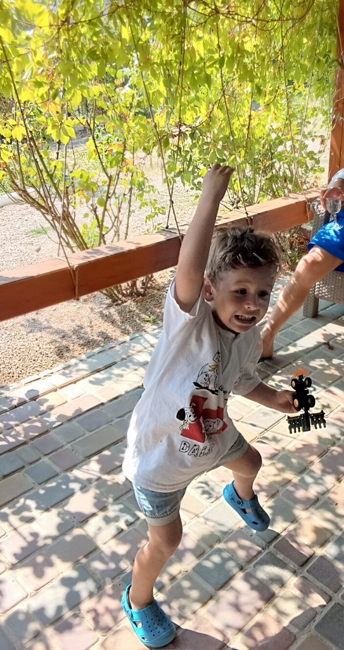 Фото Кактус