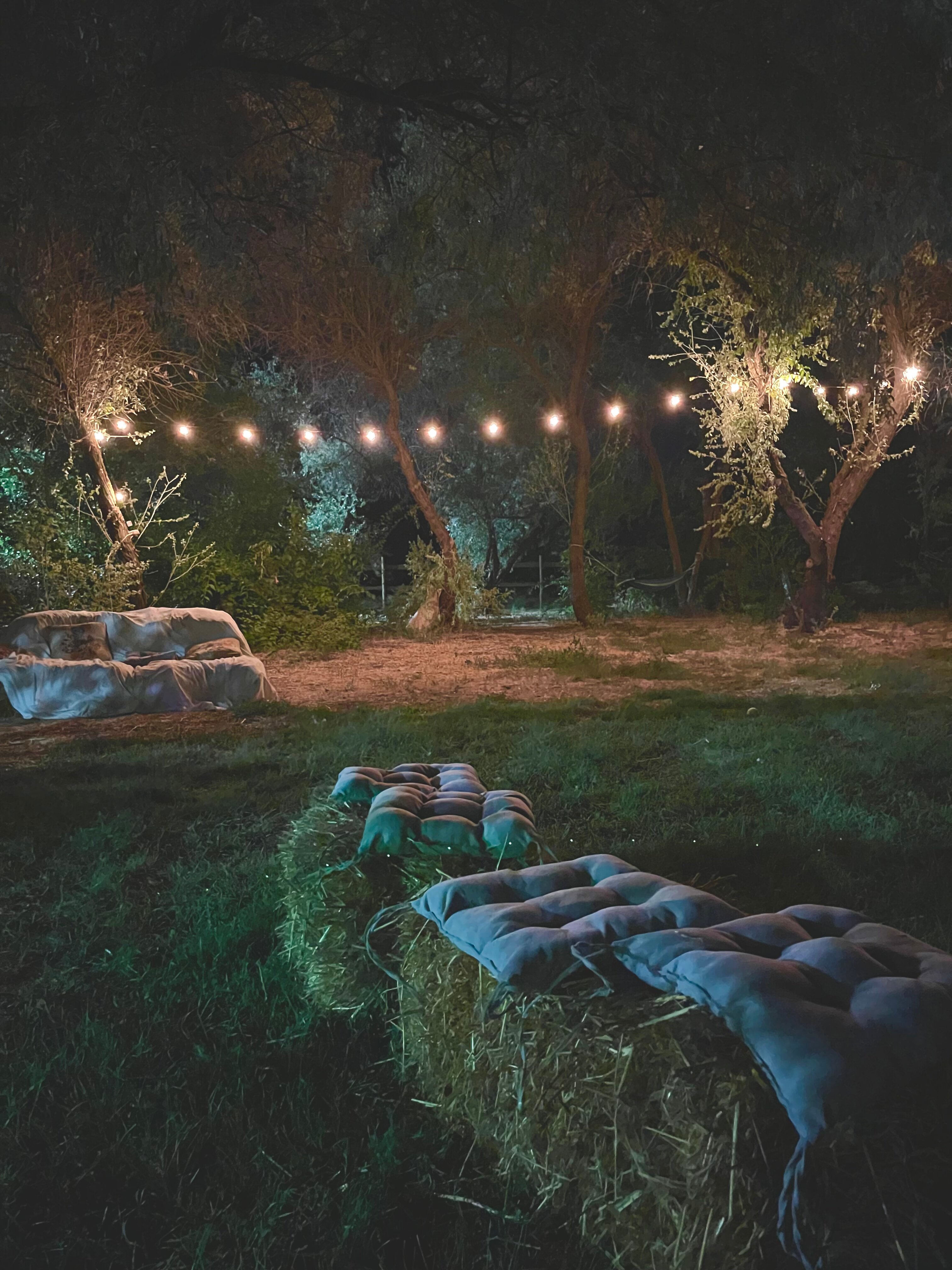 Фото Загородный парк Баклушино