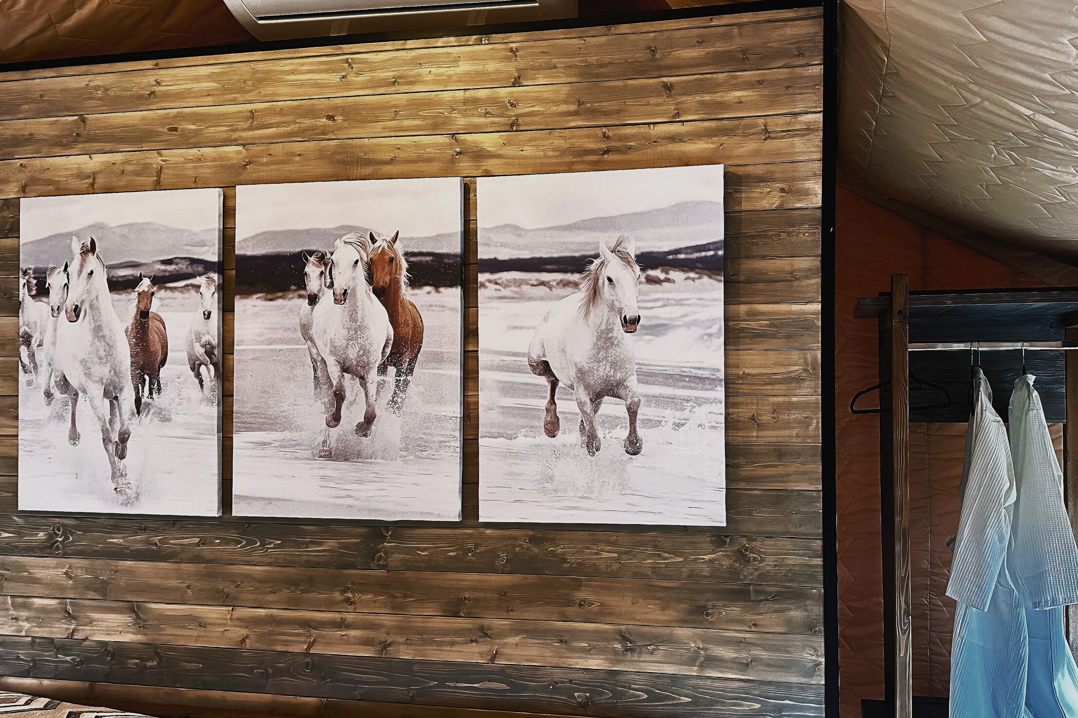 Фото Иййоки