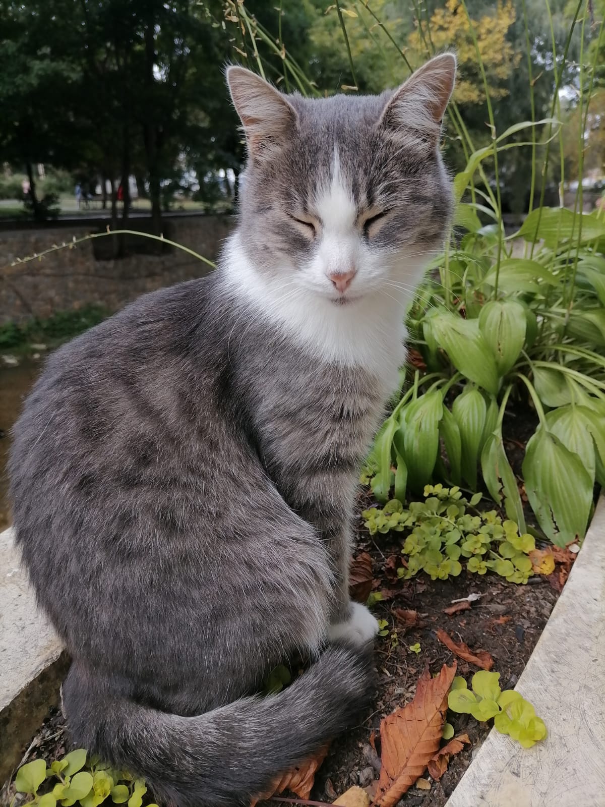 Фото Апарт-отель Анапа