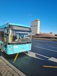 Автобусные перевозки (Kostyushko Street, 17), bus transportation