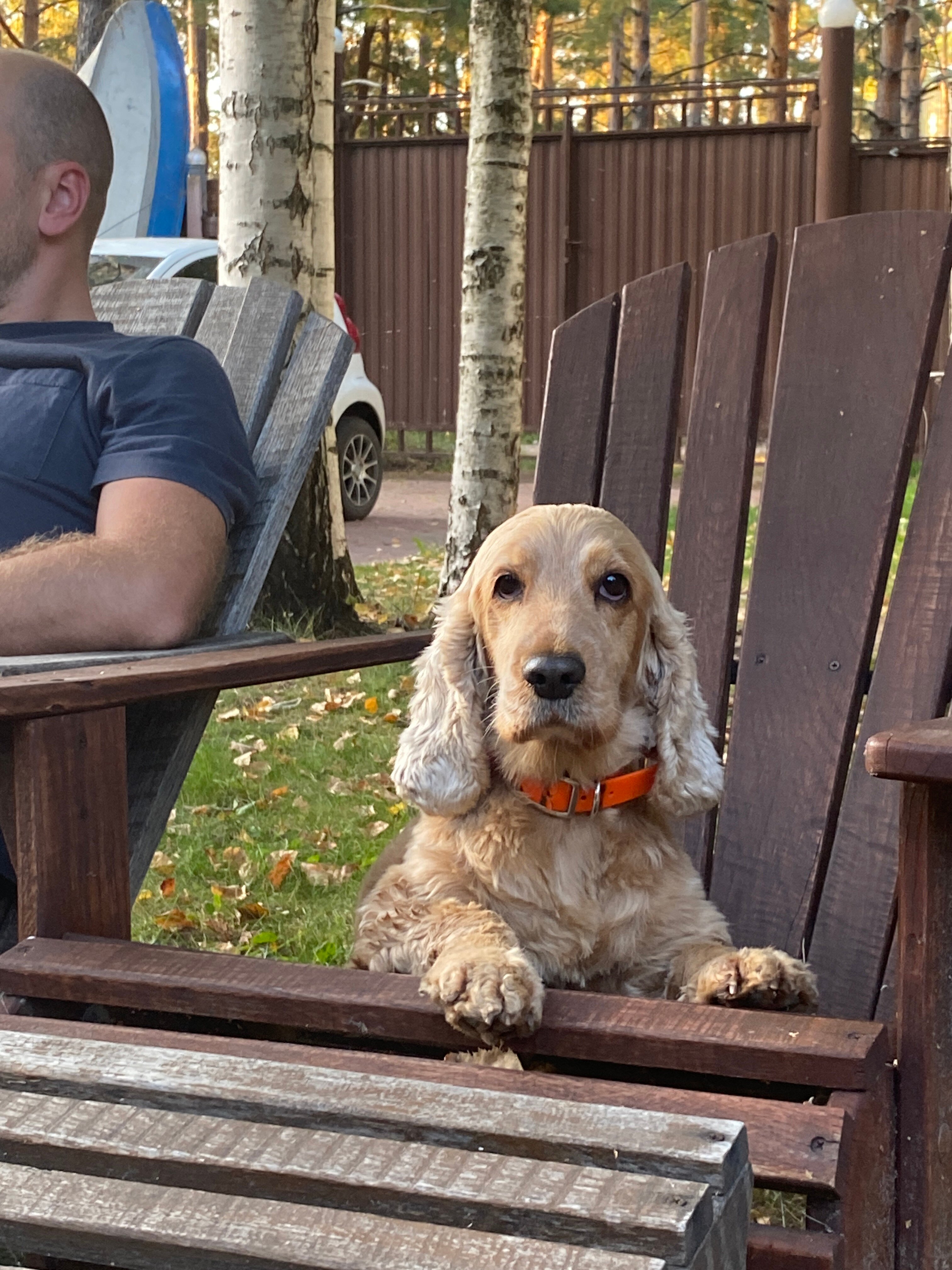 Фото Нептун