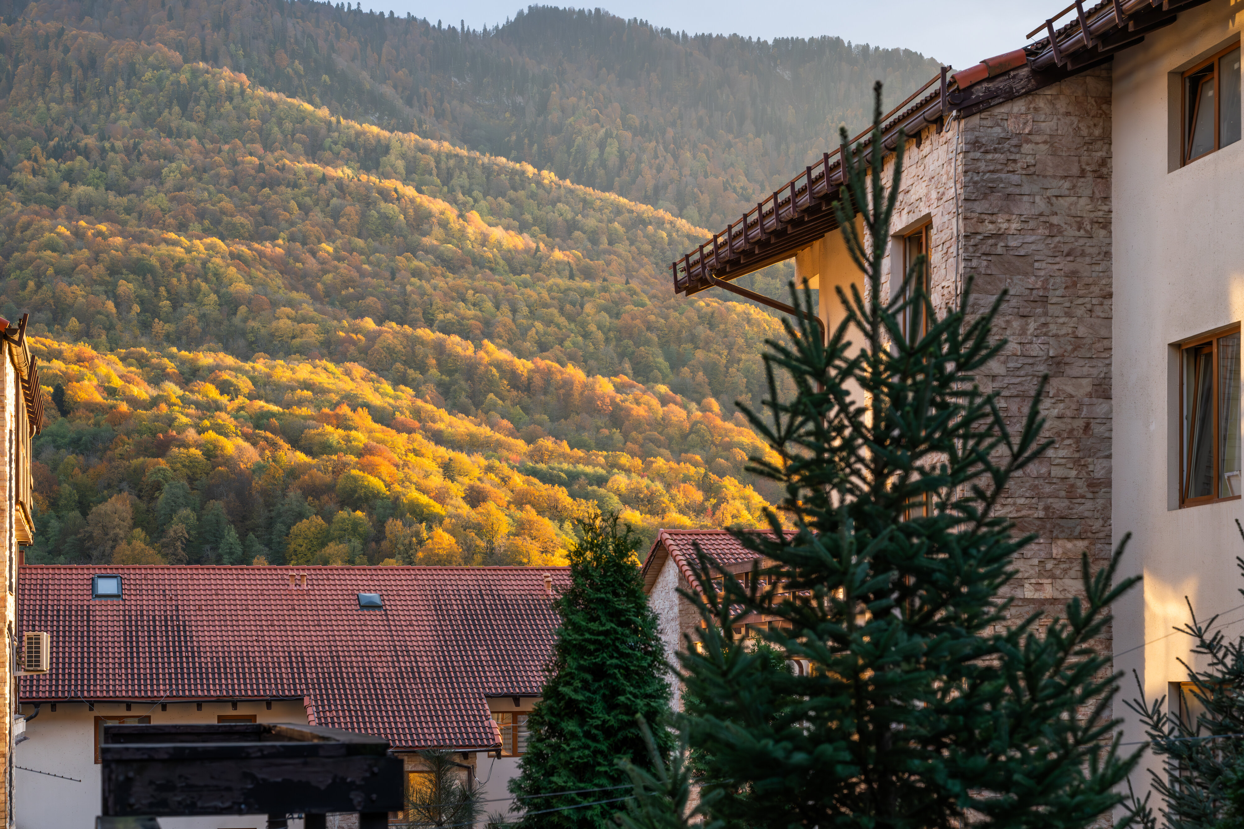 Фото Апартаменты Оплот