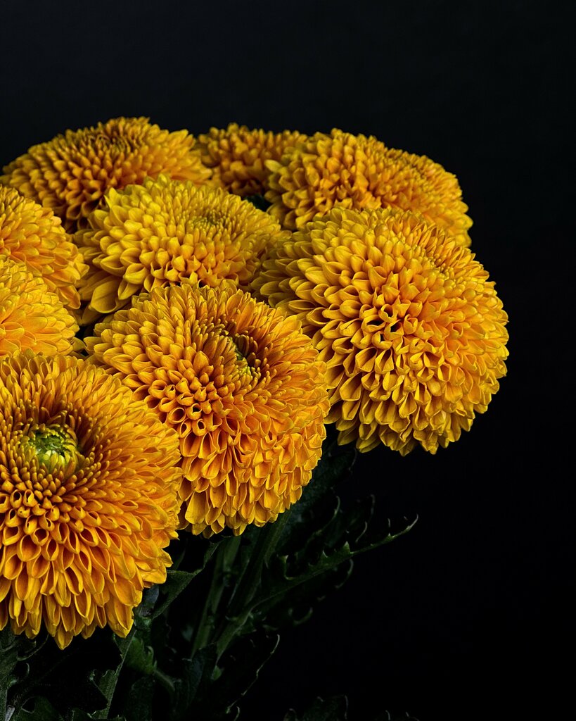 Flower shop Super-Flora, Nizhnevartovsk, photo