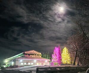 Ромашка