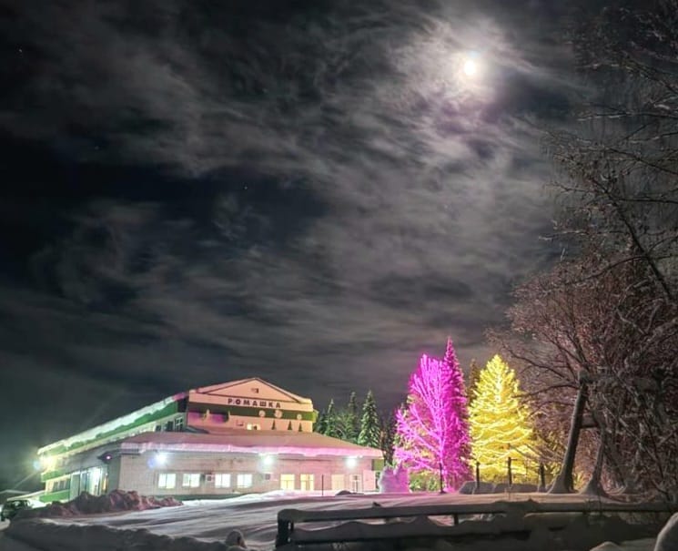 Фото Ромашка