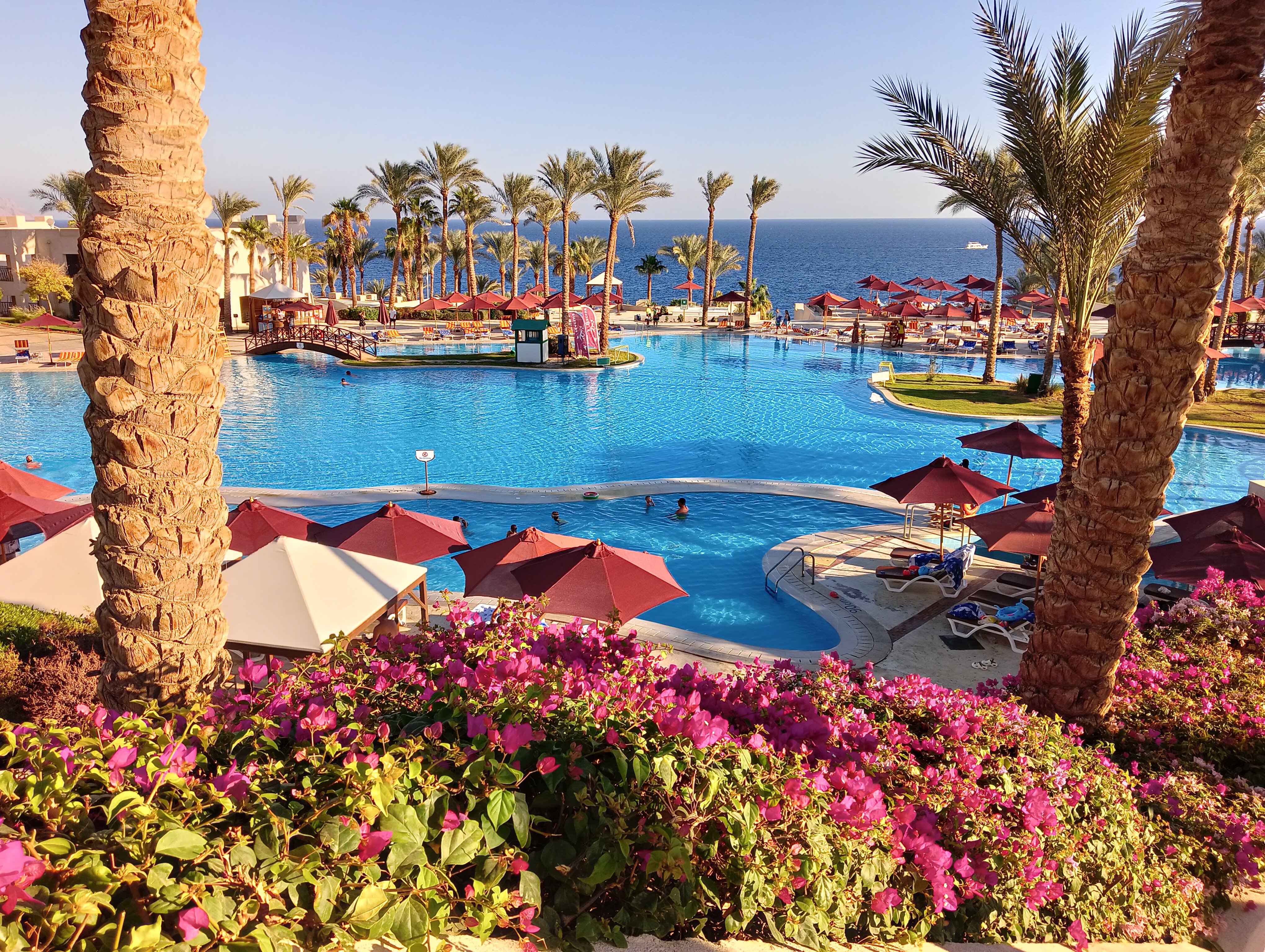 Фото Grand Rotana Resort & SPA 