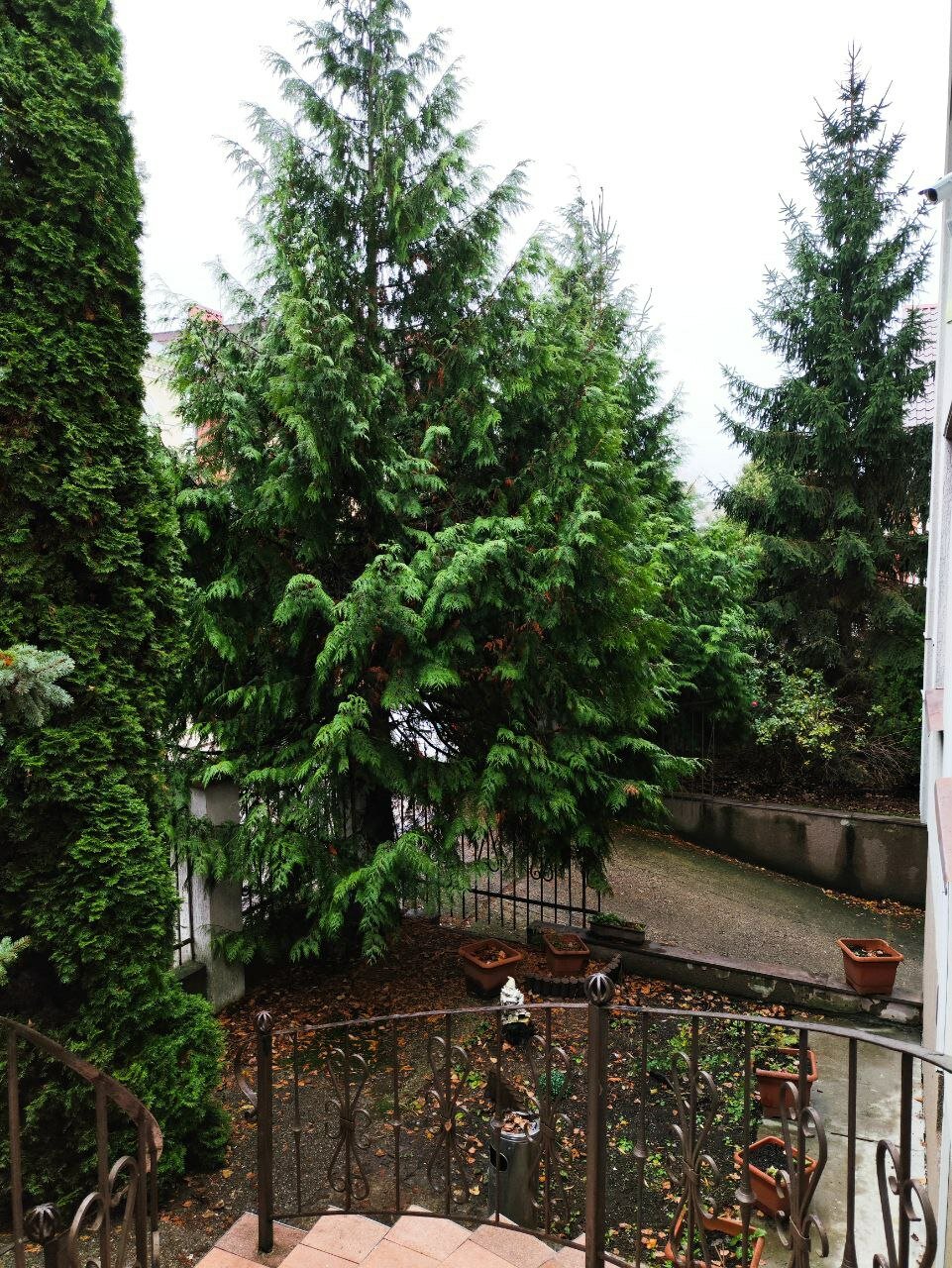 Фото ИнЛайк