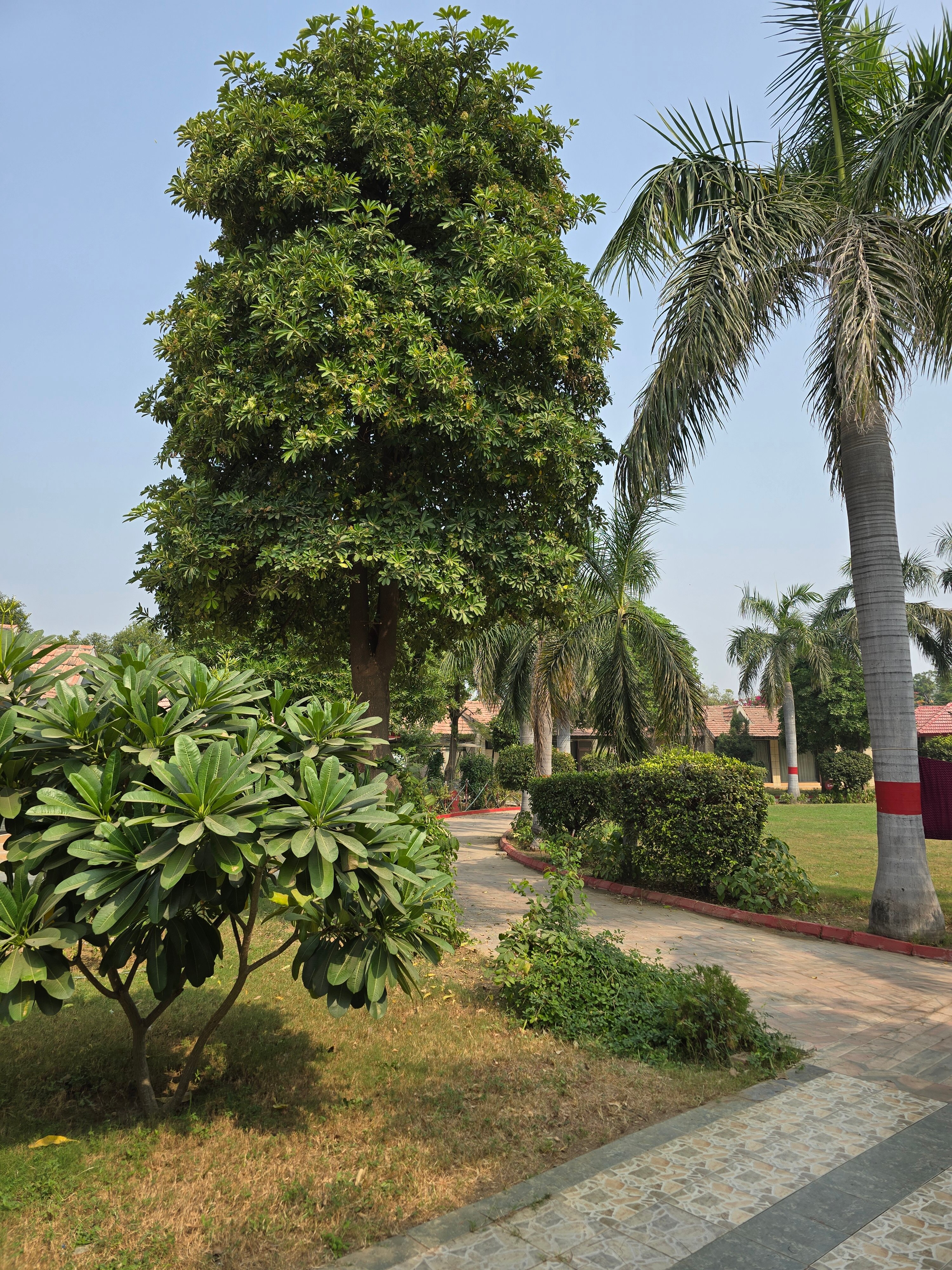 Фото Shri Radha Brij Vasundhara Resort & SPA