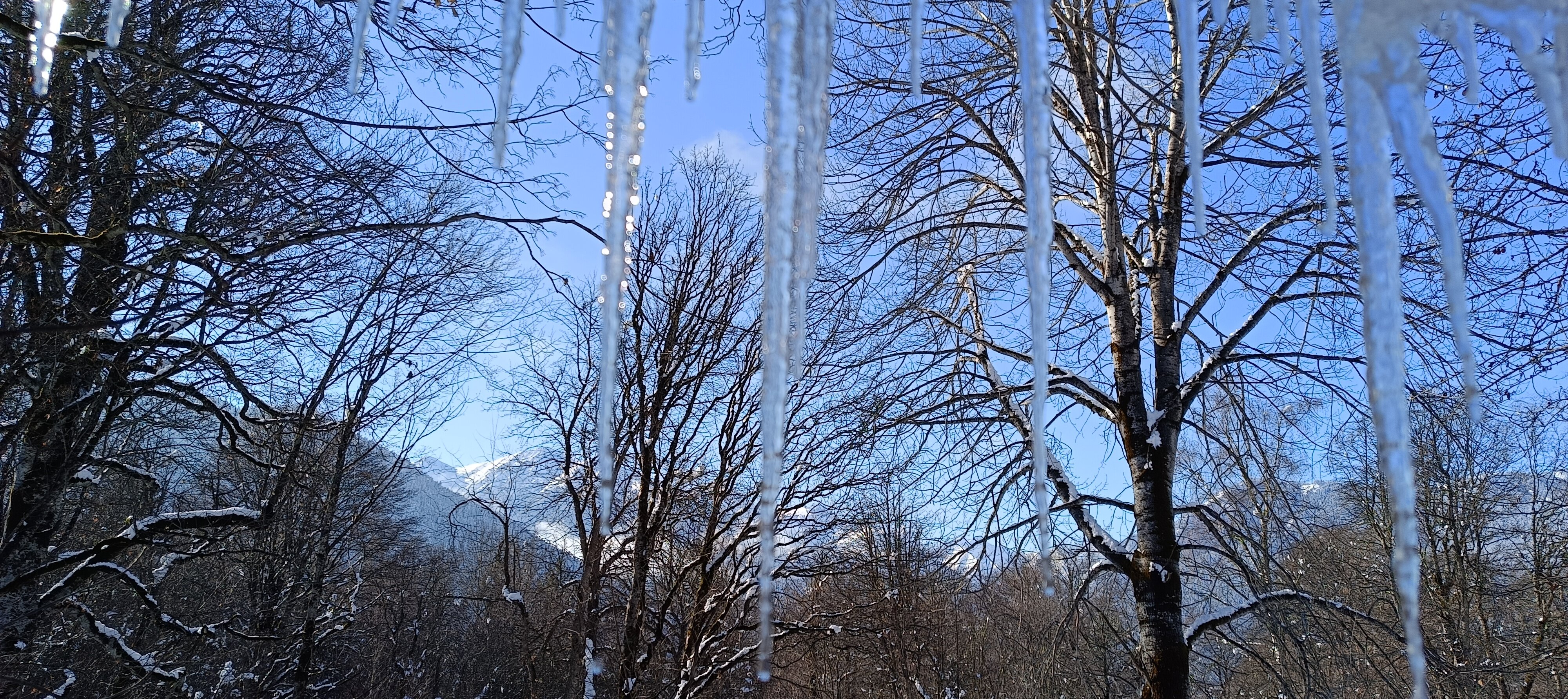 Фото Тишина