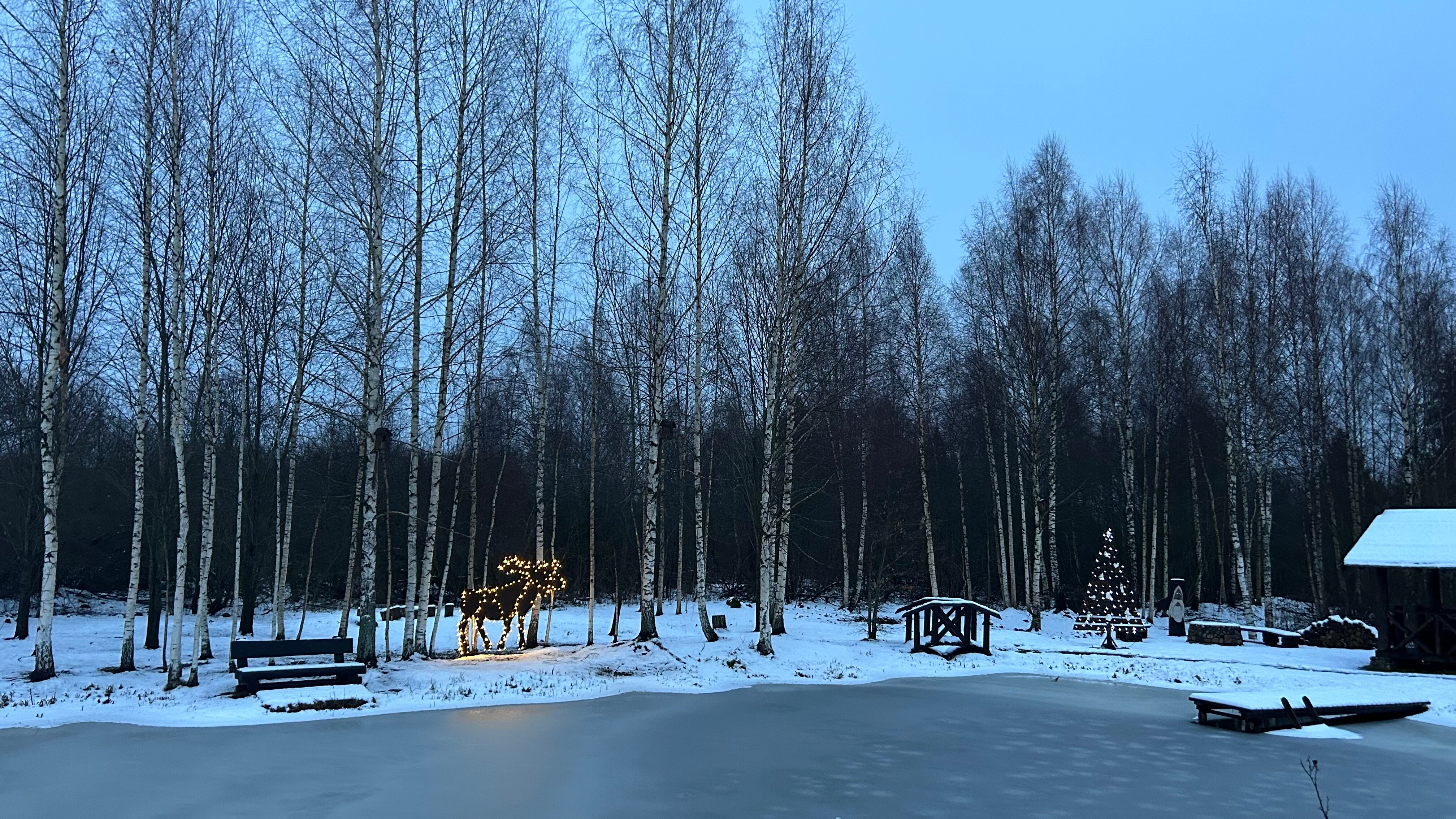 Фото Дом у пруда