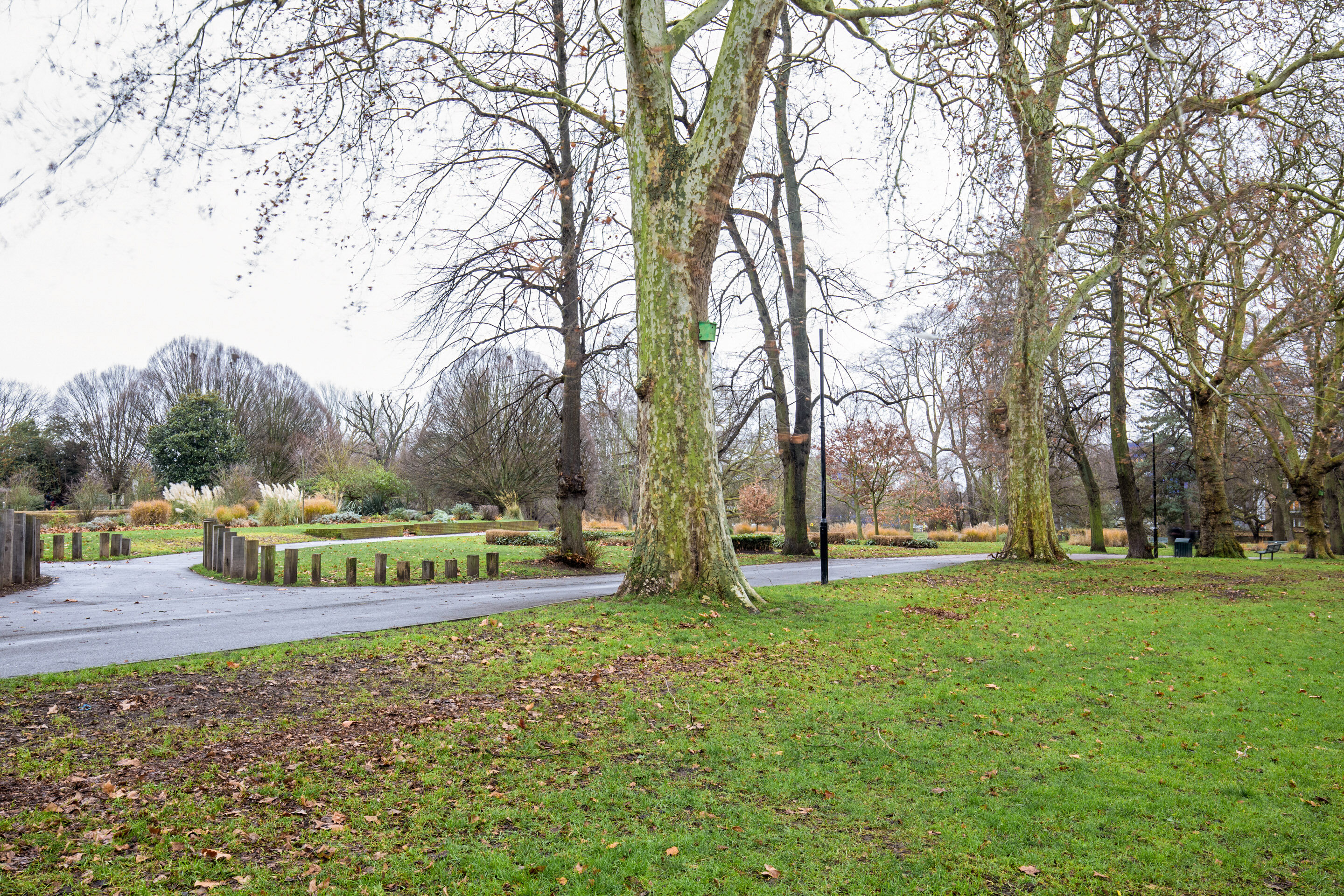 Фото Oyo TamTam Acton Hotel