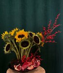Cicekci Dogan (Malatya, İnönü Cad., 57A), flower shop