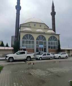 Arpacay Central Mosque (Kars, Arpaçay, Yeni Mah., Cumhuriyet Cad., 107), mosque