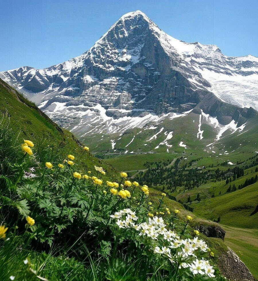 Management company Kure Mountains National Park Directorate, Bartin, photo