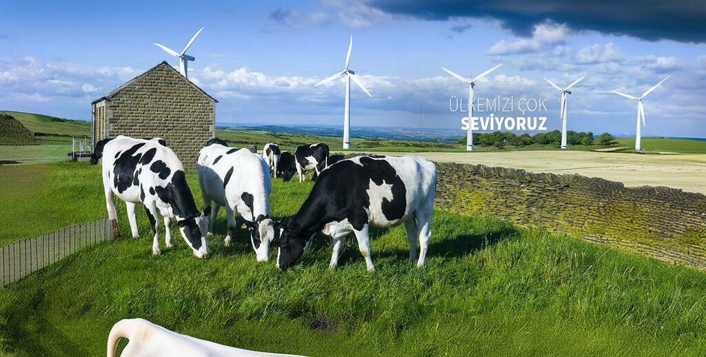 Fodder and feed additives Ipek Feed, Gaziantep, photo