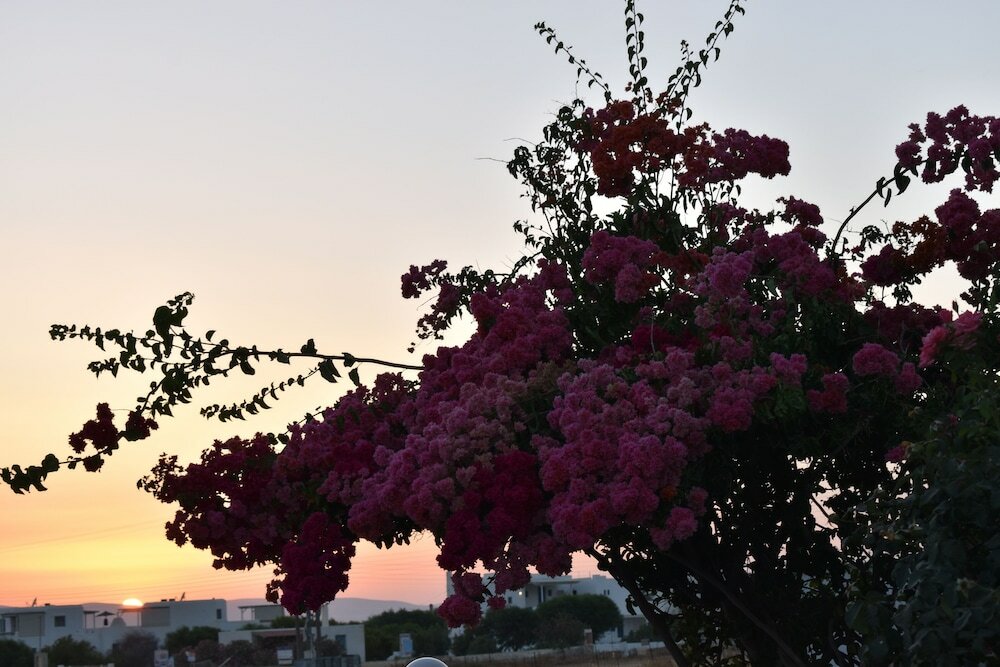 Фото Diamantis Studios