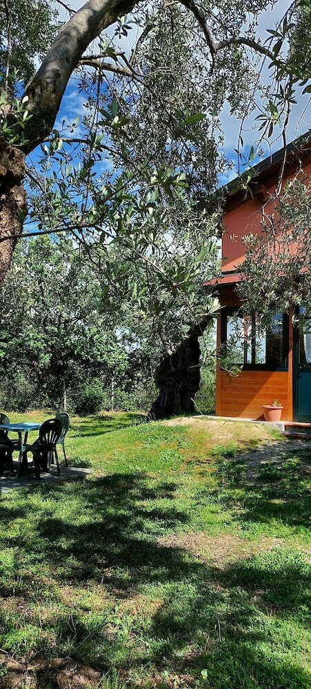 Фото La Piana degli Ulivi