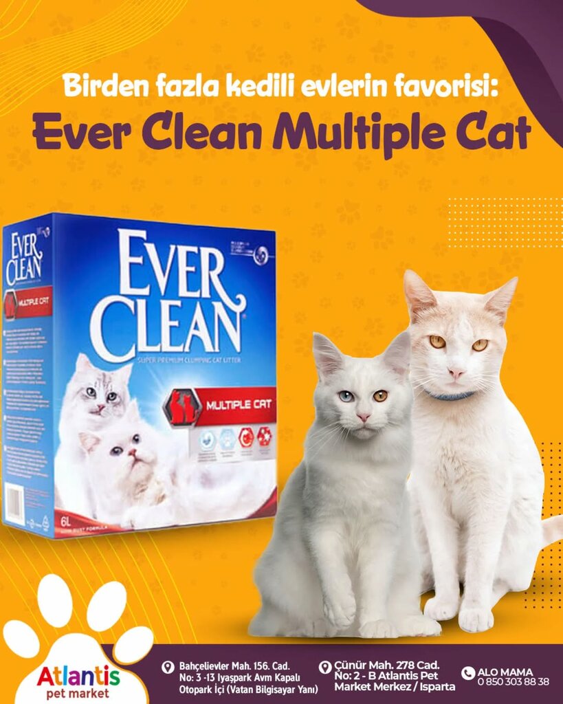 Pet shop Atlantis Pet, Isparta, photo