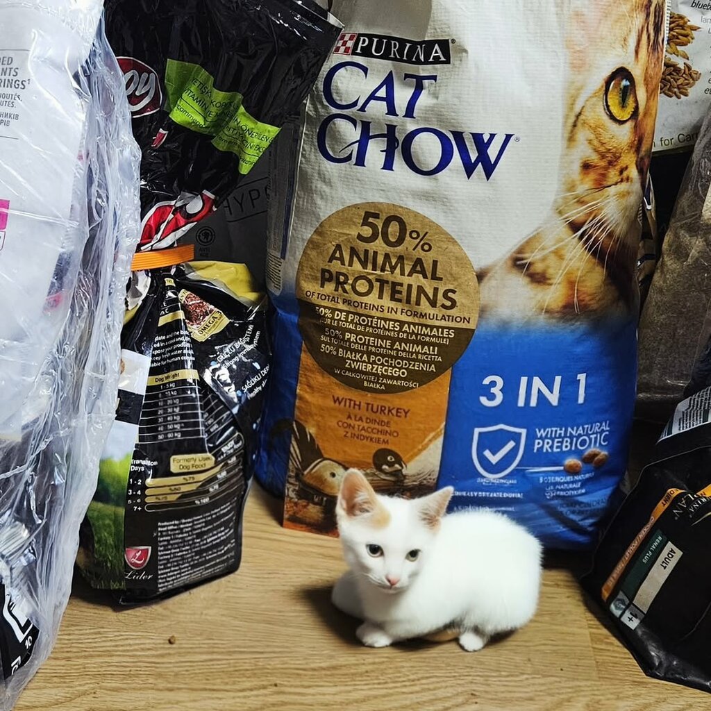 Pet shop Pati Home, Suleymanpasa, photo