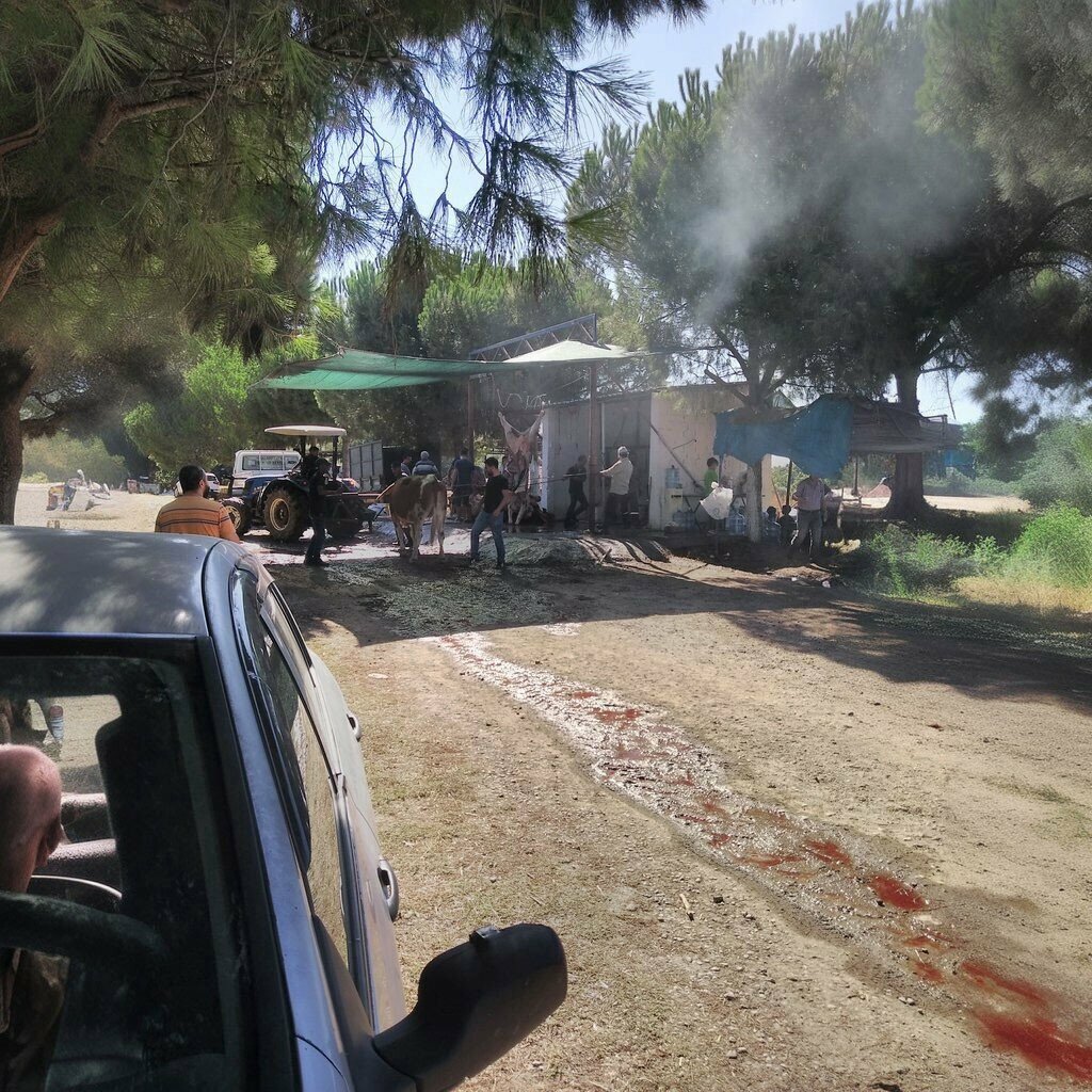 Museum Bitim Livestock, Germencik, photo