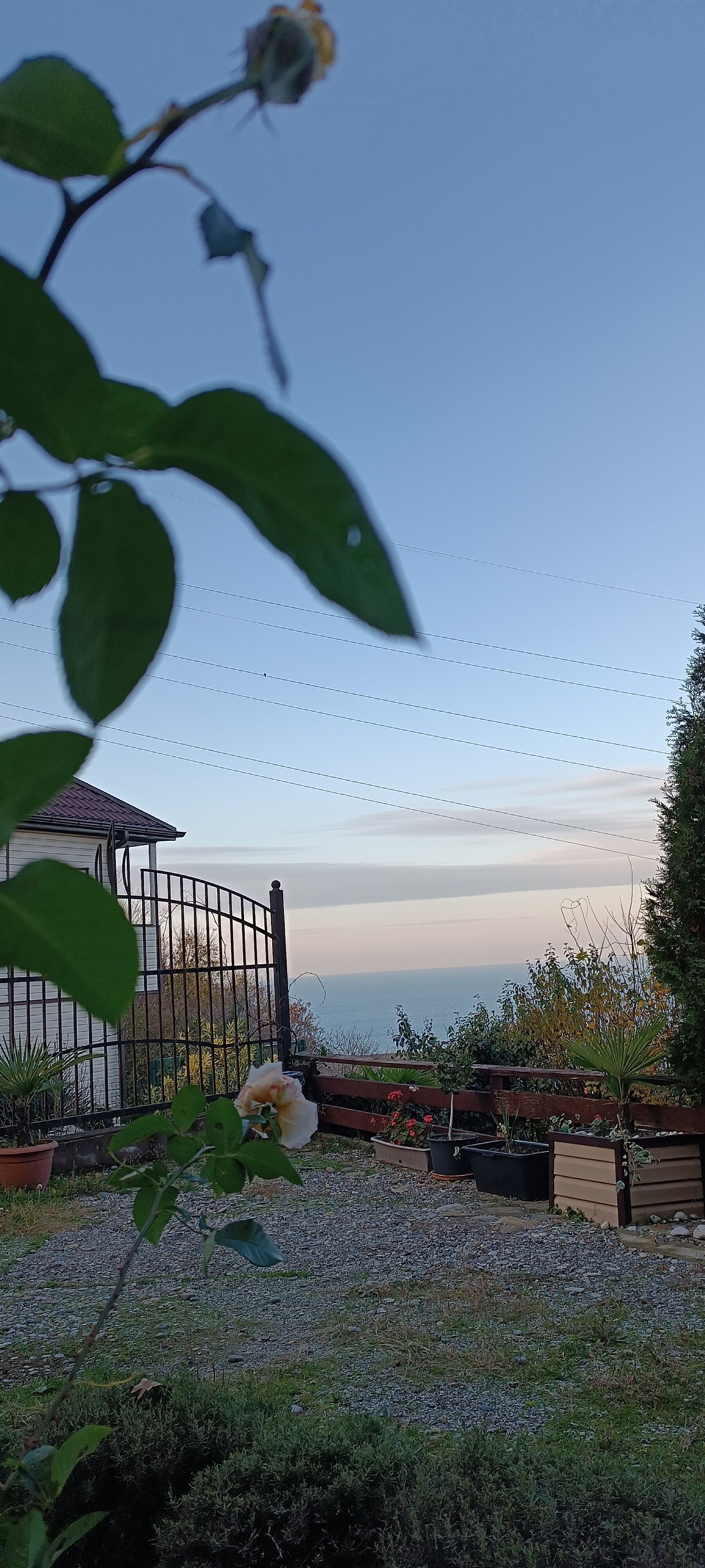 Фото Лоо-ра