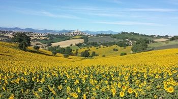 Фото CasaVostra - Ambience Suites