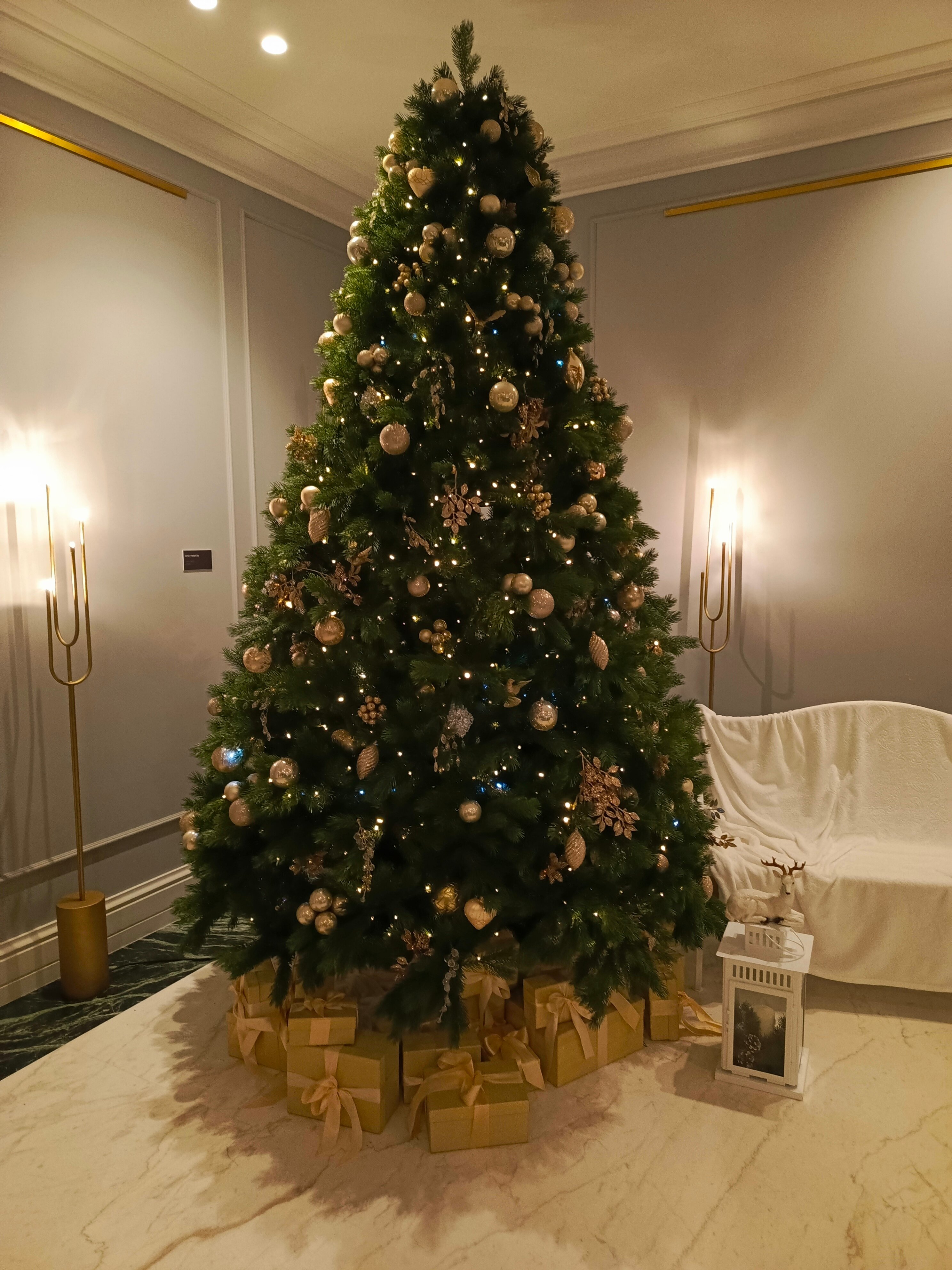 Фото Островский