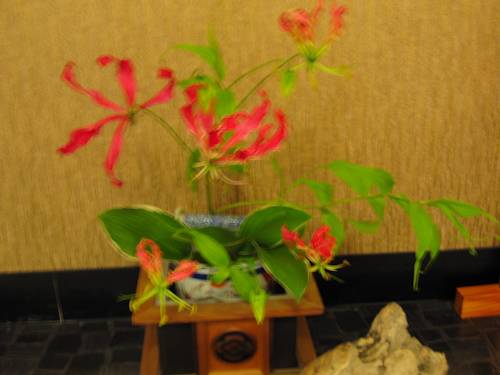 Фото Kashikojima Park Hotel Michishio