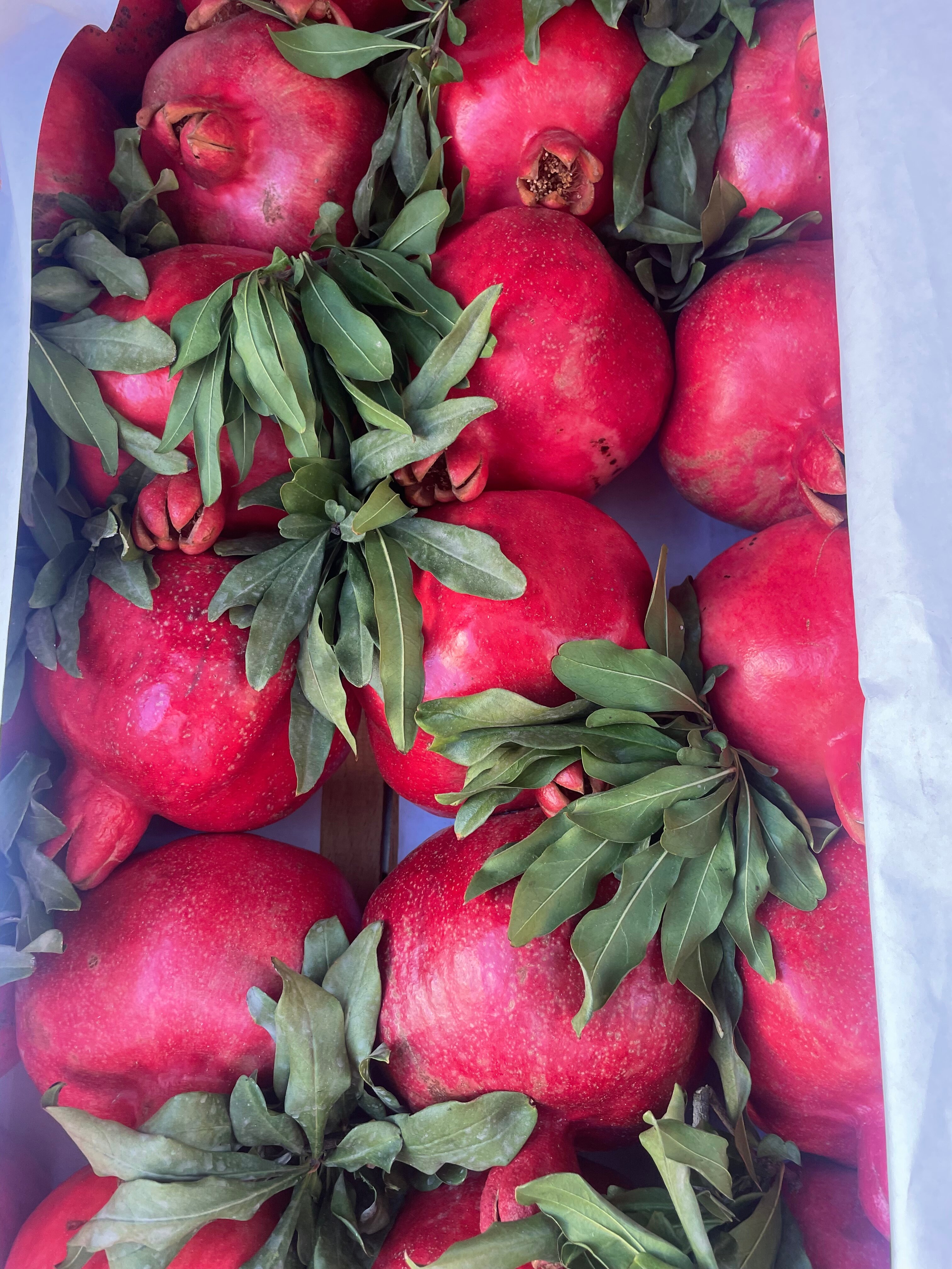 Фото Борис Биф