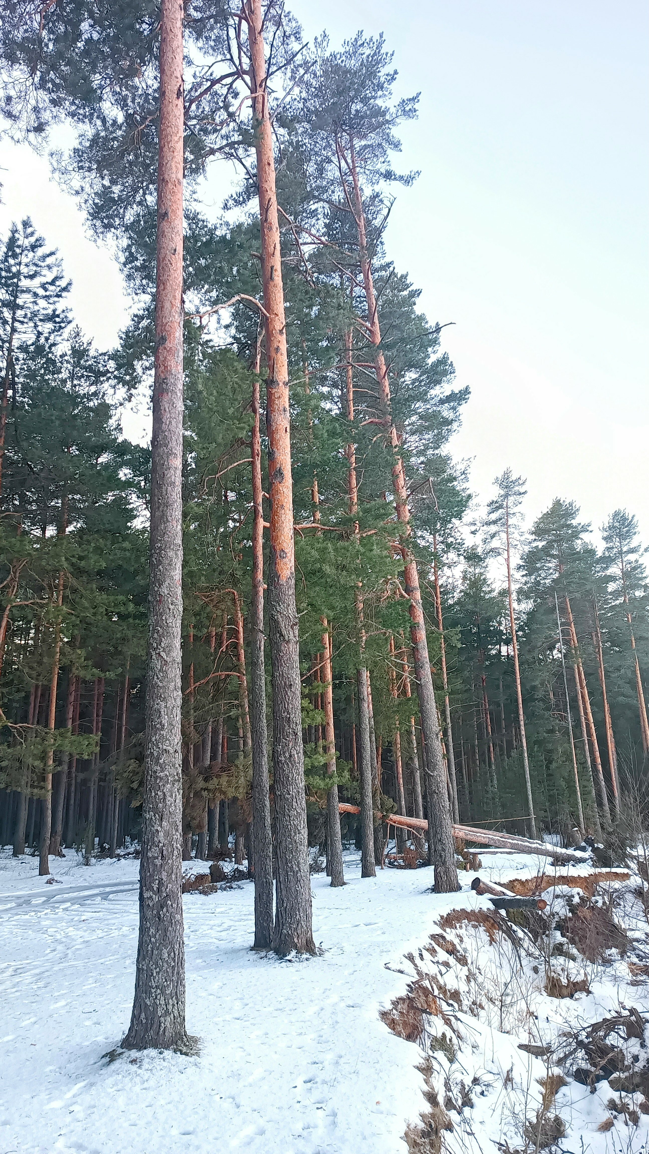 Фото Заповедные устья