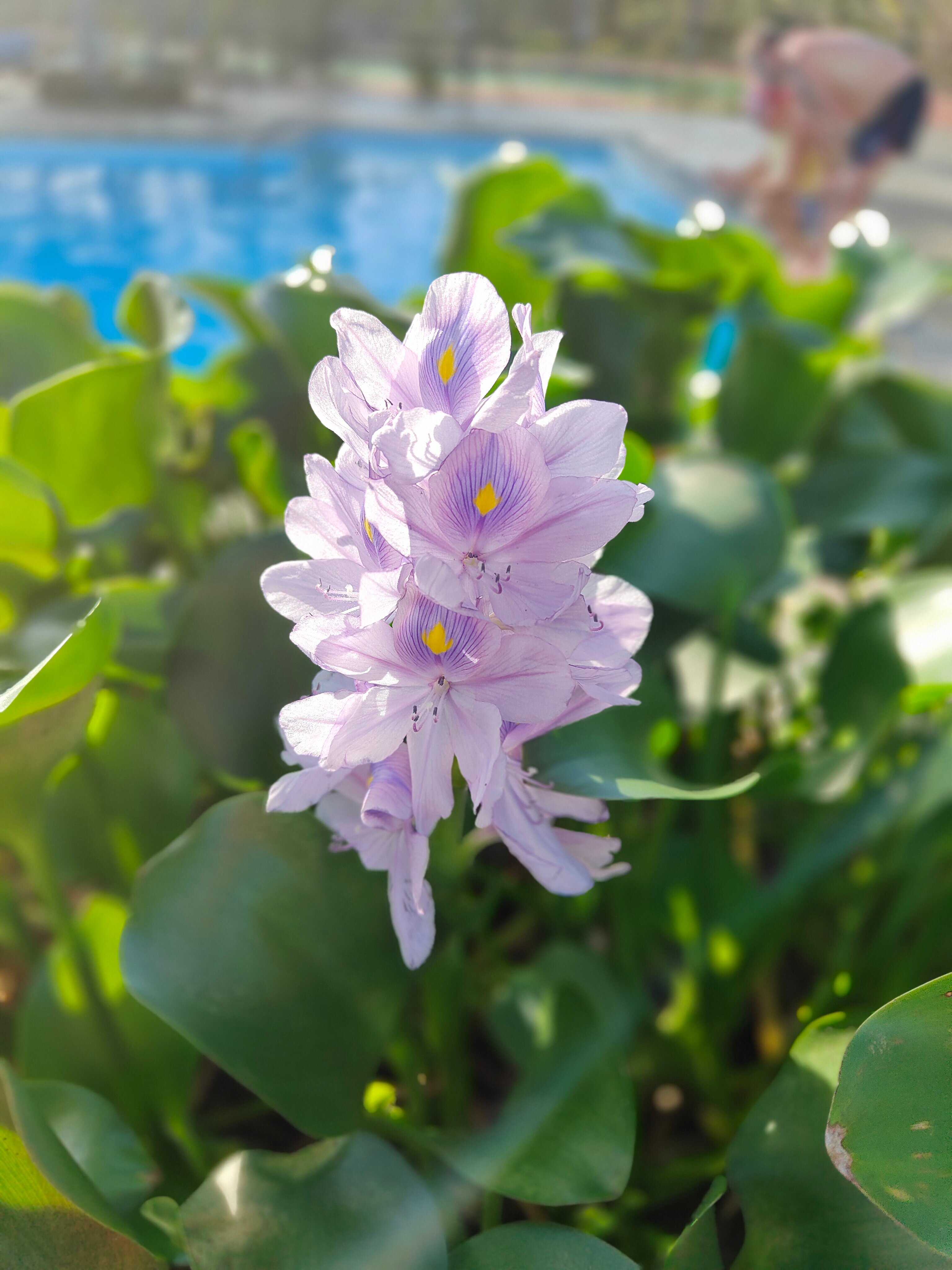 Фото MuiNe Century Beach Resort and SPA